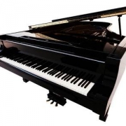 47795995-closeup-view-of-one-beautiful-big-shiny-black-open-piano-forte-with-white-key-board-standing-in-stud